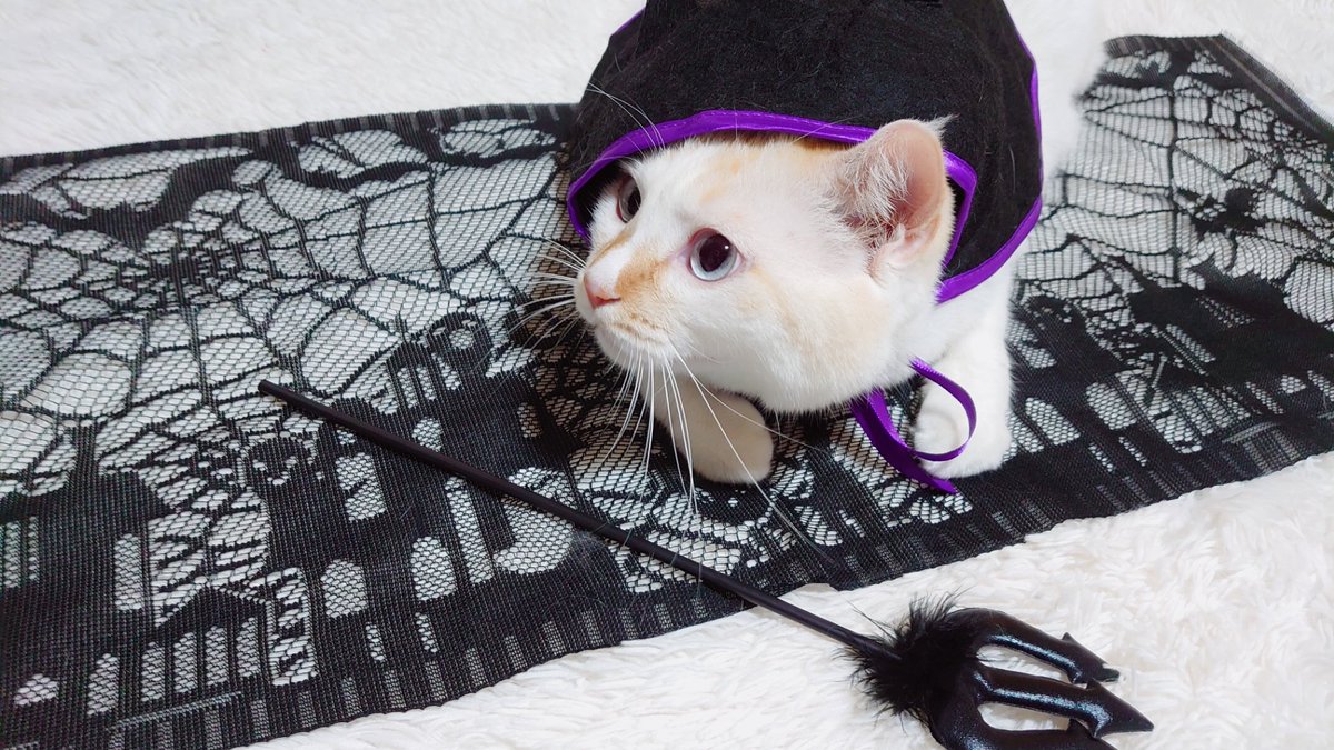 Happy  Halloween  Night
#halloween2021