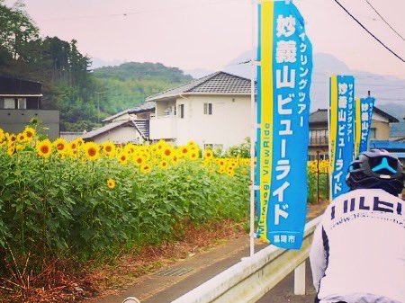 bass69s's tweet photo. 妙義山ビュー��イドに参戦‼️ 途中から小雨が降る中、楽しみなエイドステーションを目指すが４か所とも”蒟蒻畑”で残念。(^^;; それでも沿道の🌻富岡の景色を楽んだ。(^^)v #妙義山ビューライドin富岡2021 #群馬県 #富岡市 #妙義山 #自転車イベント #エイドステーション #蒟蒻畑 #61Km #ハルヒルオヤジ隊 https://t.co/Rt8RX6L5AT