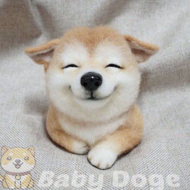 sir_cult's tweet photo. @ShibInfo #babydoge is winner 👀🚀 https://t.co/zfJcZ0GcEN