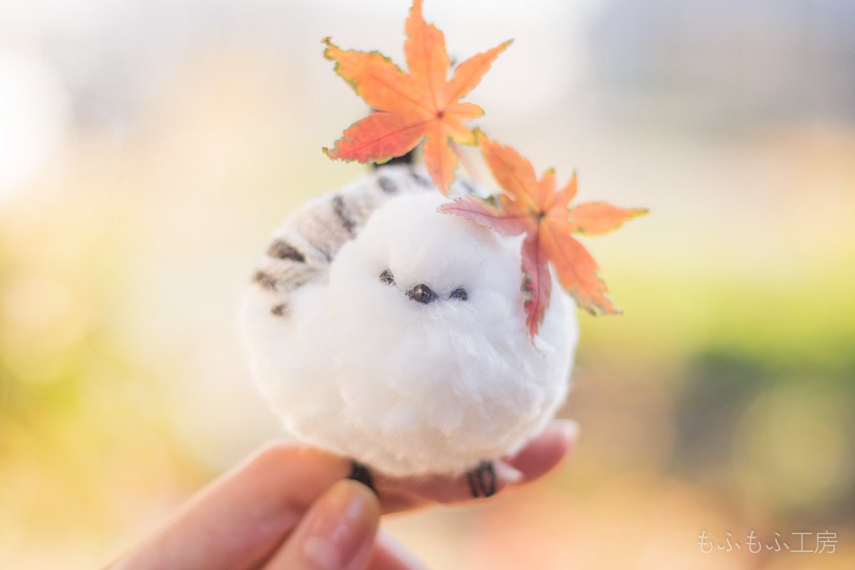 🧸もふもふ工房🧸公式🧸 on X