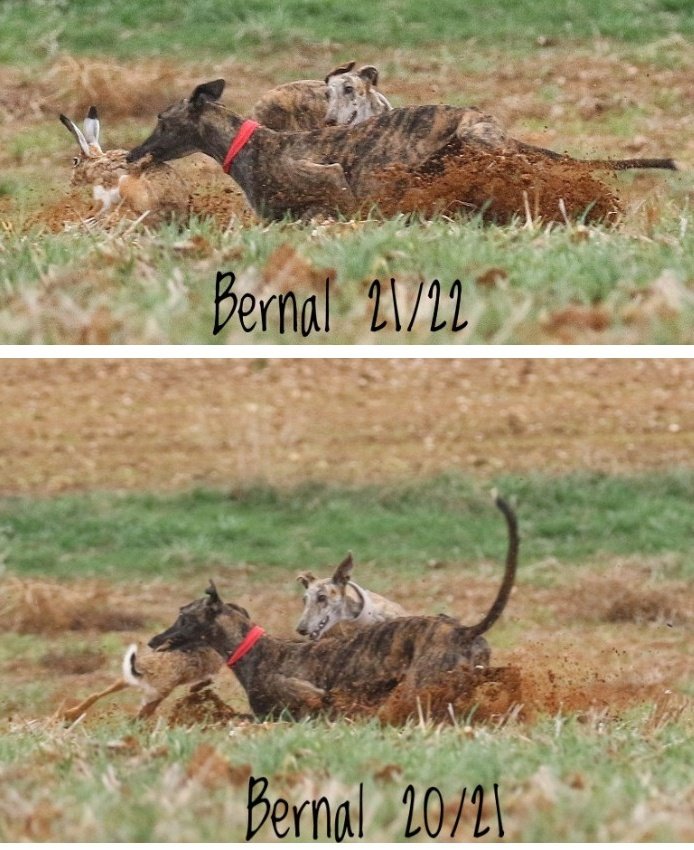 CORREN TIEMPOS DIFÍCILES
