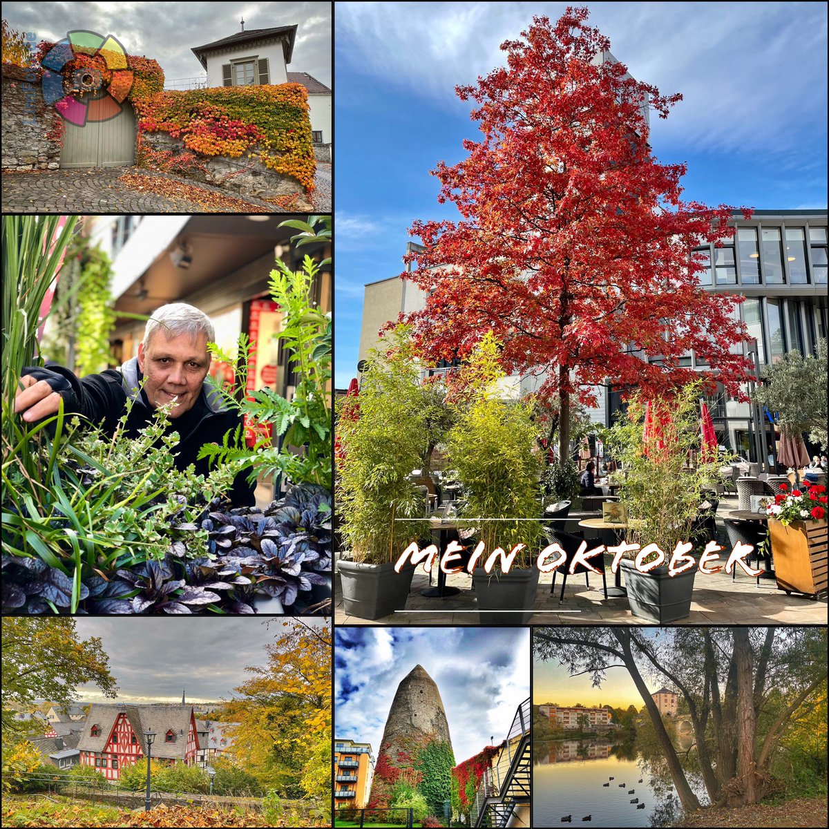 ms_powerman's tweet photo. Mein Oktober in Bildern 📸 Sechs Bilder die farbenfroher kaum sein können! 🙋🏻♂️
#meinoktober2021 #limfoto #limburganderlahn #herbstfarben #herbst #farbenfrohewelt https://t.co/119c85RFl8