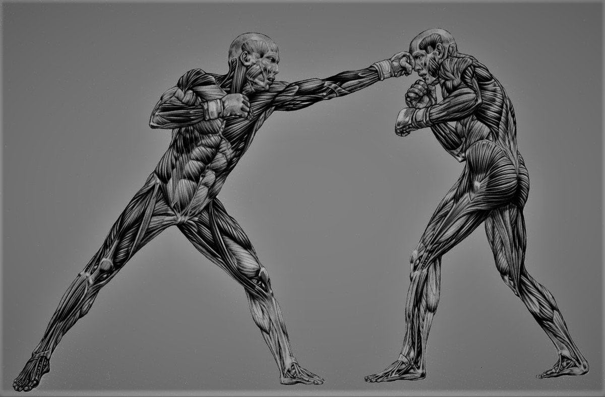The Combat Therapist Library 2.0 

This resource aims to unpack the most complex system ever in our existence, the human body. 

I have invested over $100K+ to obtain the knowledge I will condense for you. 

This resource will eventually worth MMs in ever-growing value.