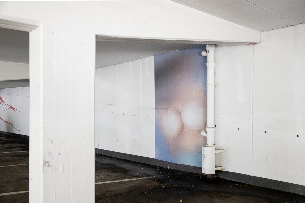 JulijaGoyd's tweet photo. "Daphne Rosen" from series "Emates" -  the exhibition @fumesandperfumes at Zublin Parkhaus, Stuttgart. https://t.co/ebXUWpgvR3