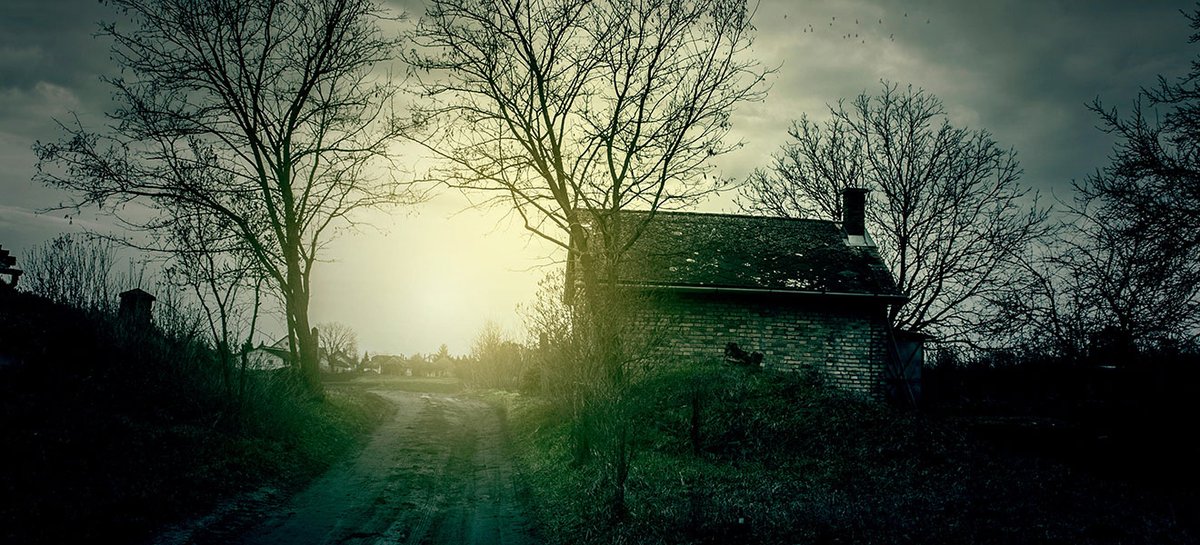 IW Travel Ambassador tweet media