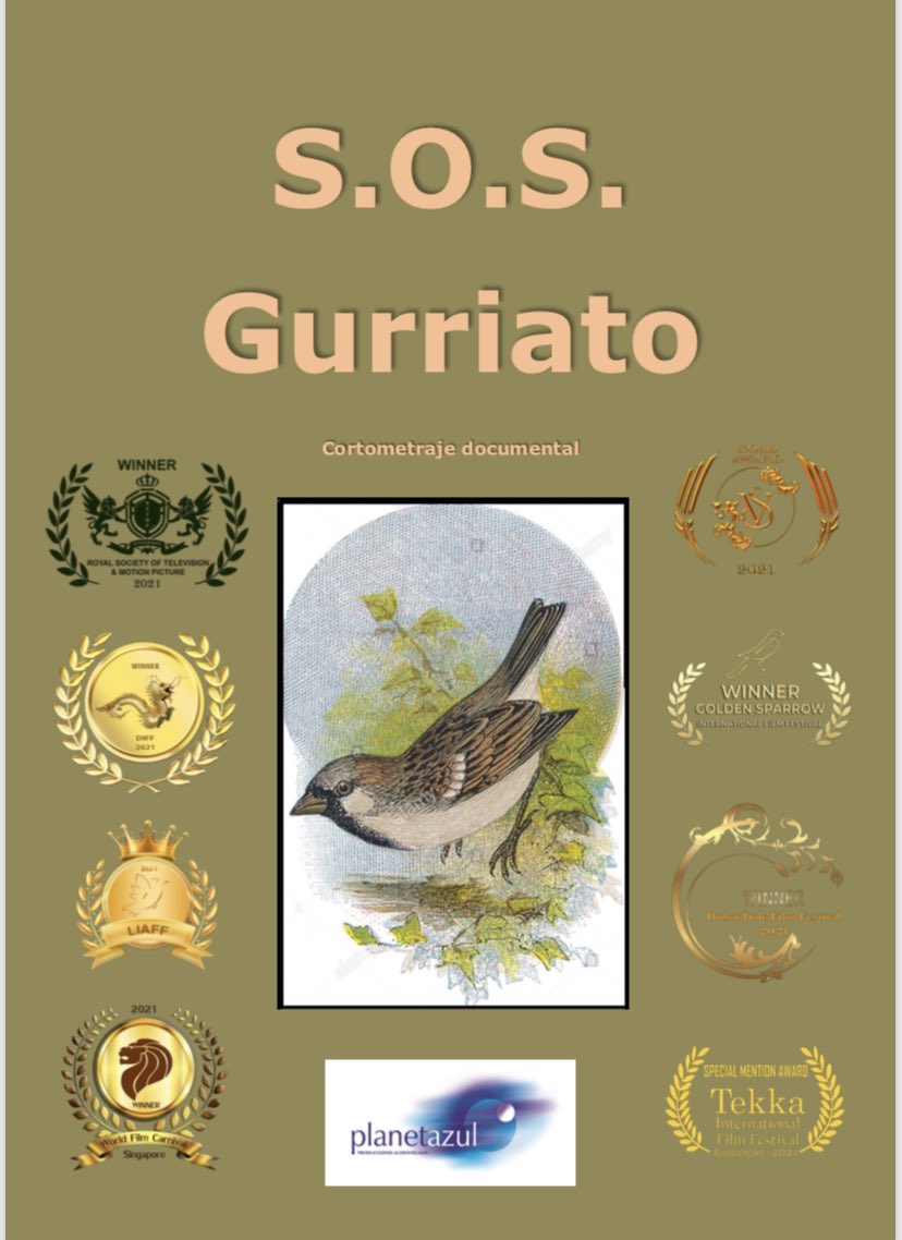 Nuestro gorrión continúa revoloteando por festivales internacionales, está vez gana en Singapur, van 8 🥇 
Enhorabuena Compañeros!!
#sosgurriato
#sossparrow
#PlanetazulProducciones