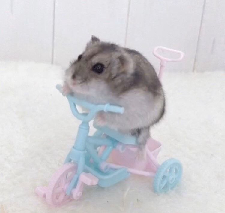 Oliver_wine's tweet image. face reveal besties!! pls be nice &amp;lt;33