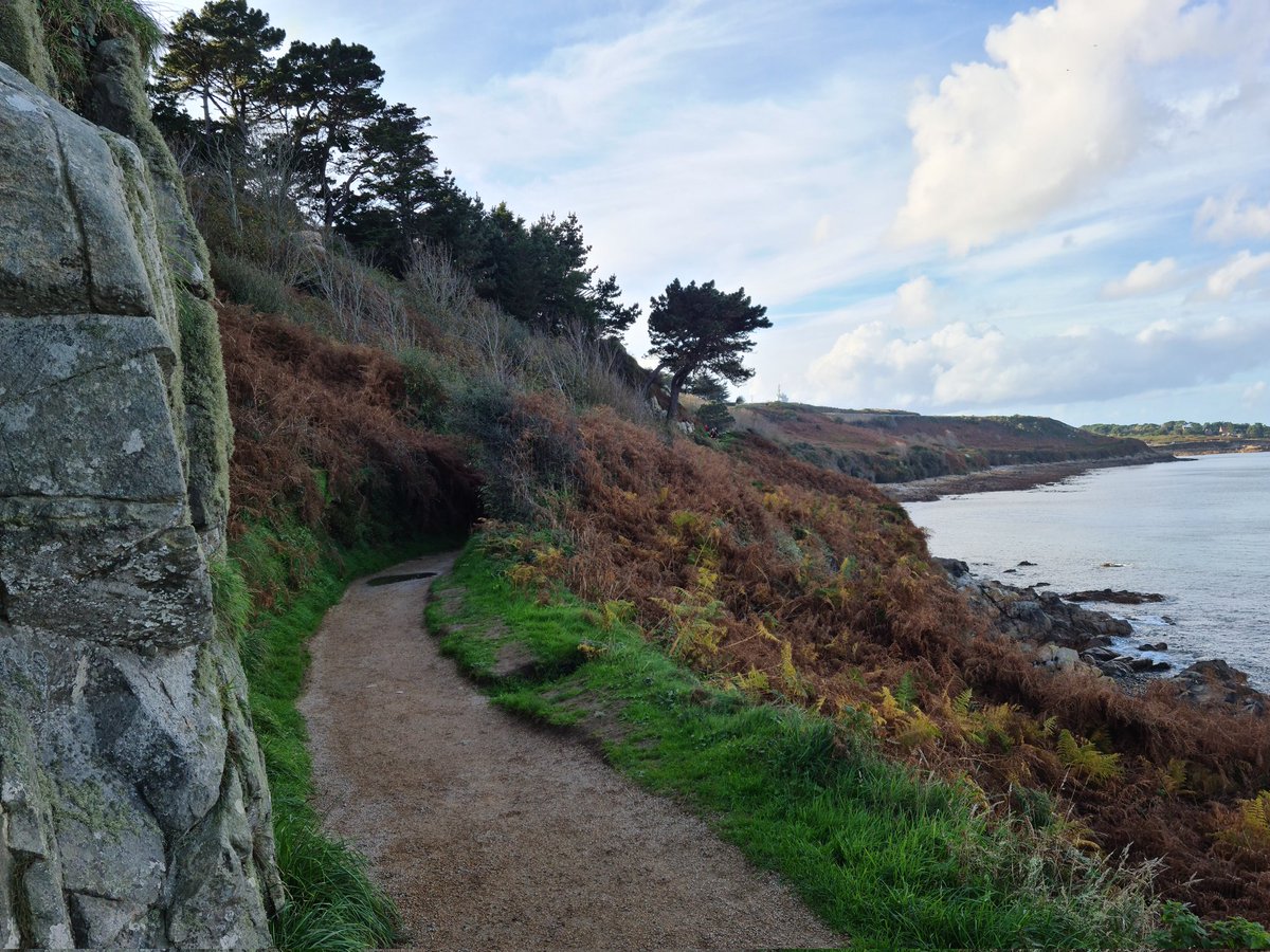 Pierre_Auberger's tweet photo. Lumière d'#automne sur la @cotegranitrose #Ploumanach #sentierdesdouaniers @PerrosGuirec22 #MagnifiqueBretagne #MagnifiqueFrance @arielSTRABONI @BreizhWeCan https://t.co/ppyhHDACgG