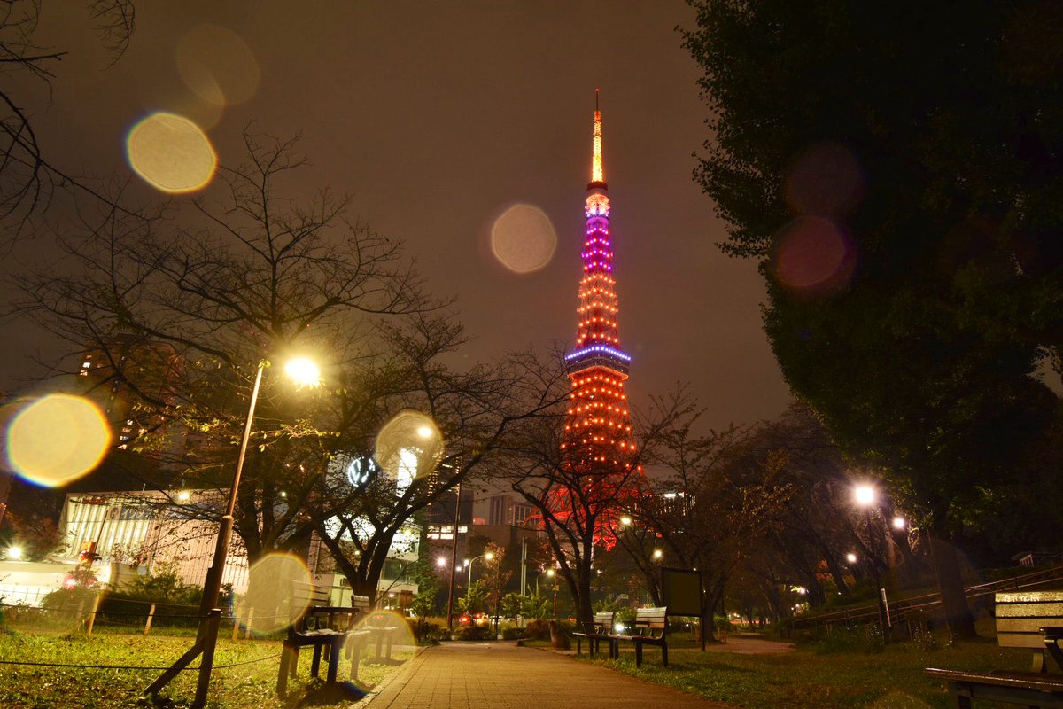 ゆめ 雨の中の Happy Halloween 東京タワー ハロウィンカラー 東京タワー ハロウィン ｲﾝﾌｨﾆﾃｨ ﾀﾞｲﾔﾓﾝﾄﾞｳﾞｪｰﾙ