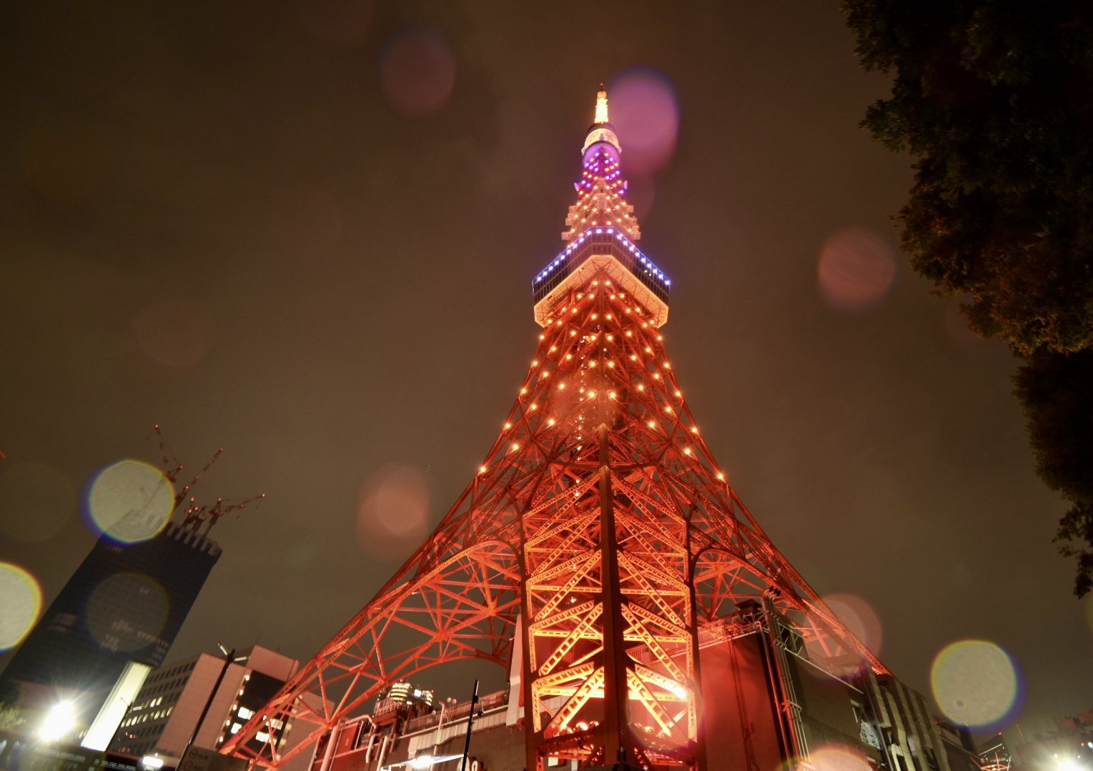 ゆめ 雨の中の Happy Halloween 東京タワー ハロウィンカラー 東京タワー ハロウィン ｲﾝﾌｨﾆﾃｨ ﾀﾞｲﾔﾓﾝﾄﾞｳﾞｪｰﾙ T Co Ecygypdatu Twitter