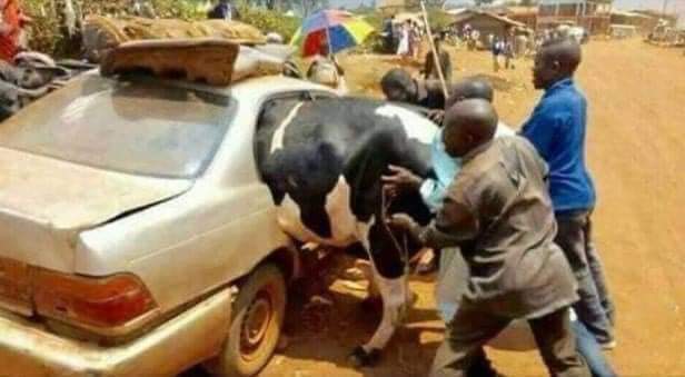 السعودية تسحب سفيرها من لبنان
🤣🤣🤣🤣