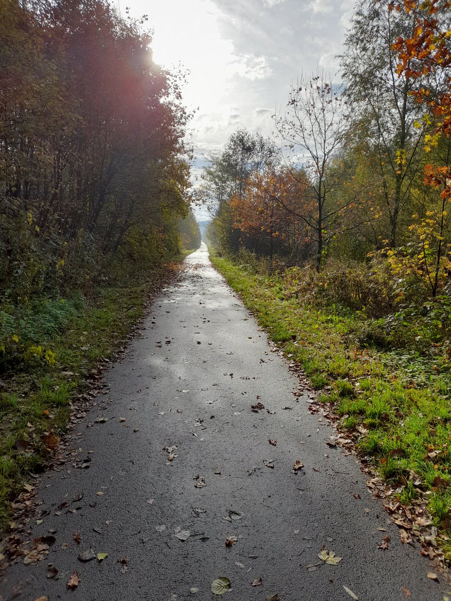 schelbertgeorg's tweet photo. Following the old railway of the #Ruwer valley - let's see where it ends up... https://t.co/QpjAygONVE