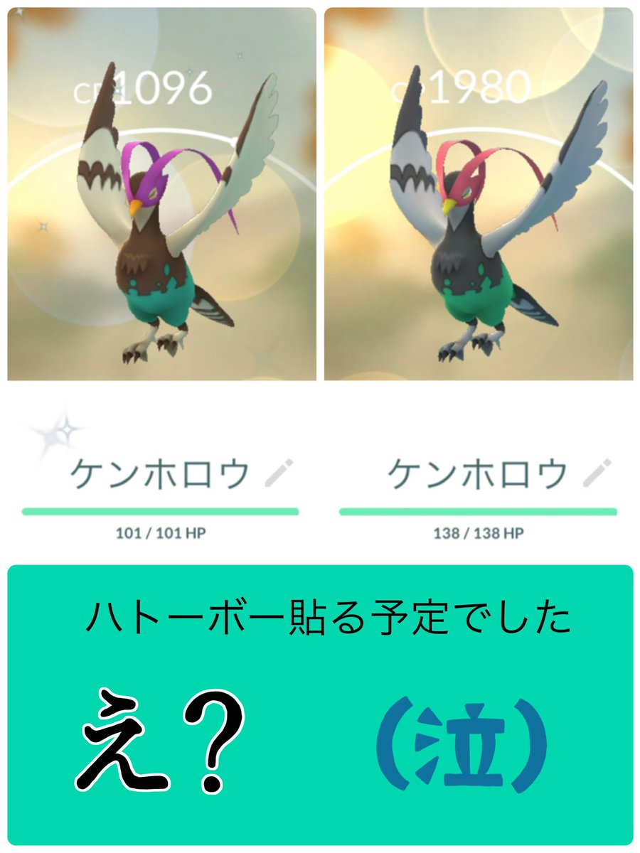 ポケモンgo ハトーボーの色違い 入手方法と実装状況 攻略大百科