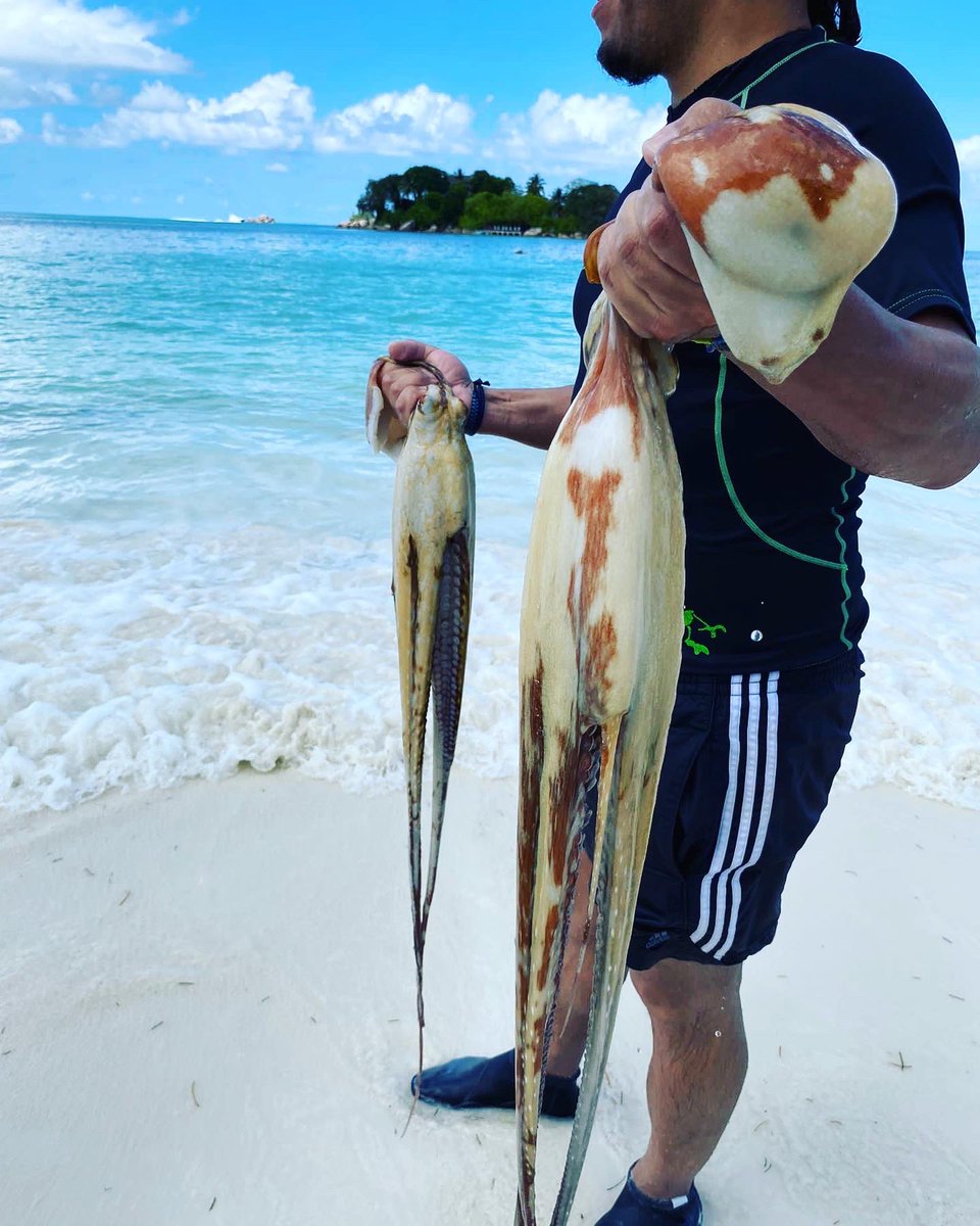 TravelPP_Expert's tweet photo. #praslinisland #seychelles 
Cote d’Or jest najpopularniejszą i najdłuższą plażą na wyspie #Praslin. Pływanie, nurkowanie z rurką w płytkiej i bezpiecznej wodzie, surfing, windsurfing, nurkowanie, wędkarstwo i żeglarstwo. Do tego wiele hoteli, restauracji i sklepów… #wakacjezycia https://t.co/GA80YjVSaK