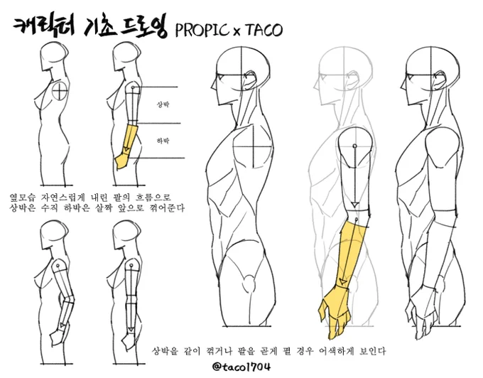 옆모습 기본 포즈로 팔의 흐름은 상박을 수직, 하박은 살짝 앞으로 꺾어줘야 자연스럽다 