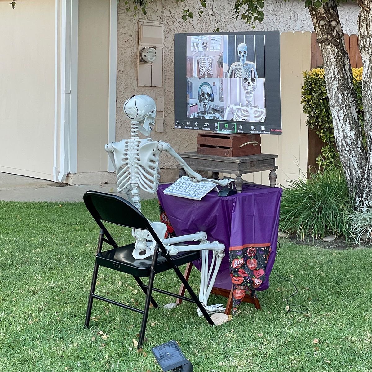 sidbshrestha's tweet photo. Need to be efficient in our online meetings. How much or how long is key or else, may end up like this 😀 #Productivity #SundayMotivation 📸DPixley https://t.co/kdR7B8yzkT
