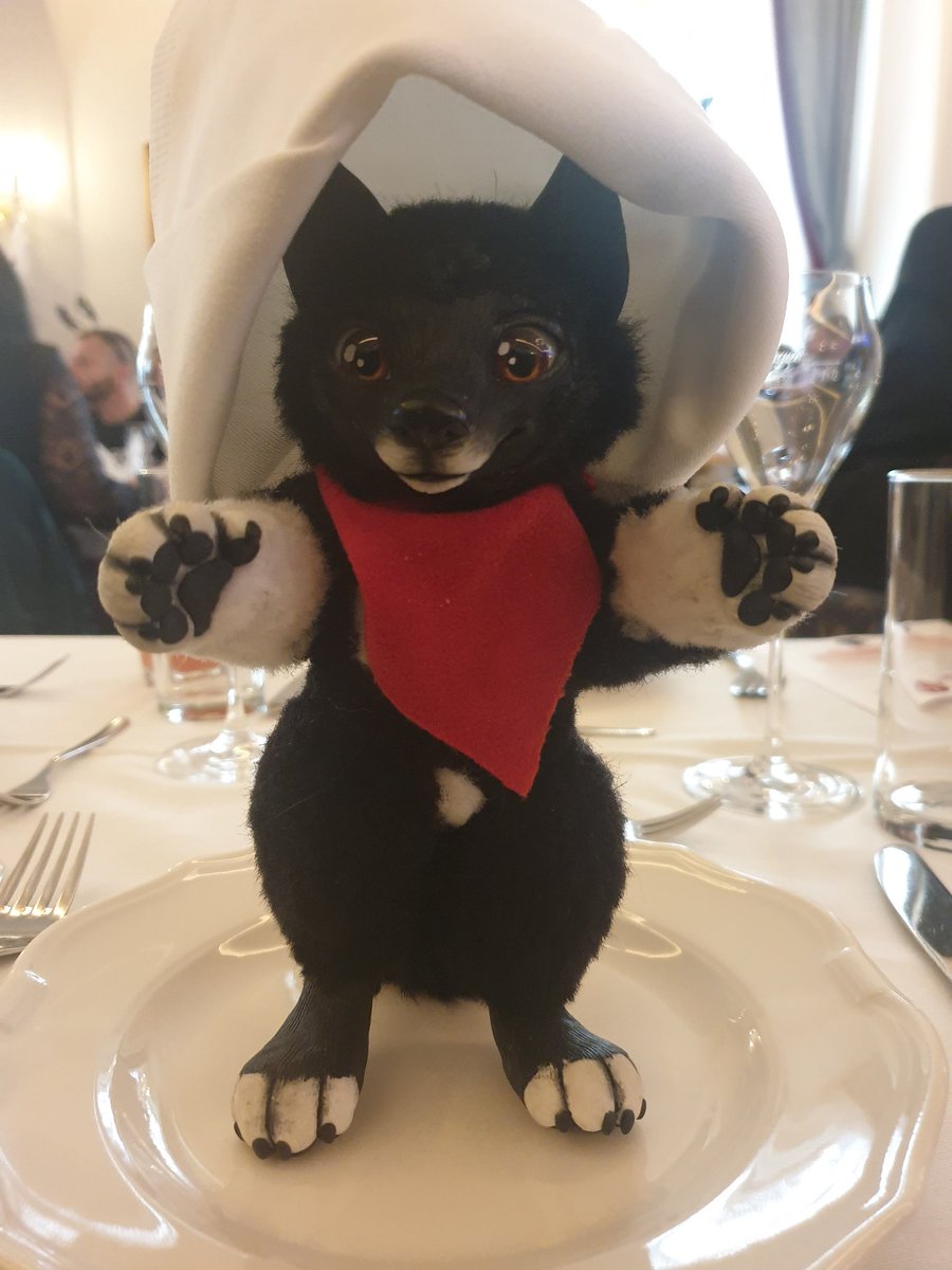 balto_star's tweet photo. Little Balto at the Royal Brunch

@CatKrafi #plush #poseable #doll #Balto https://t.co/7uVS2wY72l