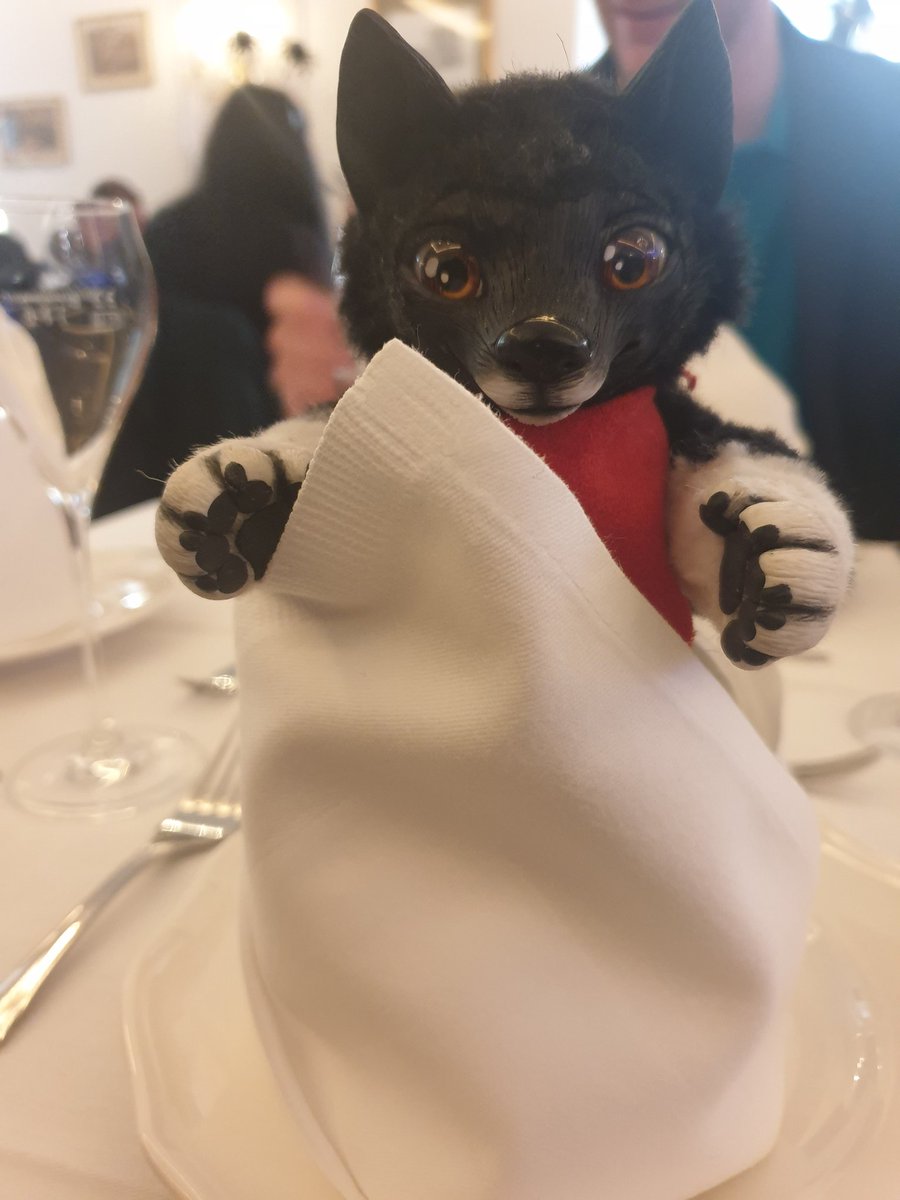 balto_star's tweet photo. Little Balto at the Royal Brunch

@CatKrafi #plush #poseable #doll #Balto https://t.co/7uVS2wY72l