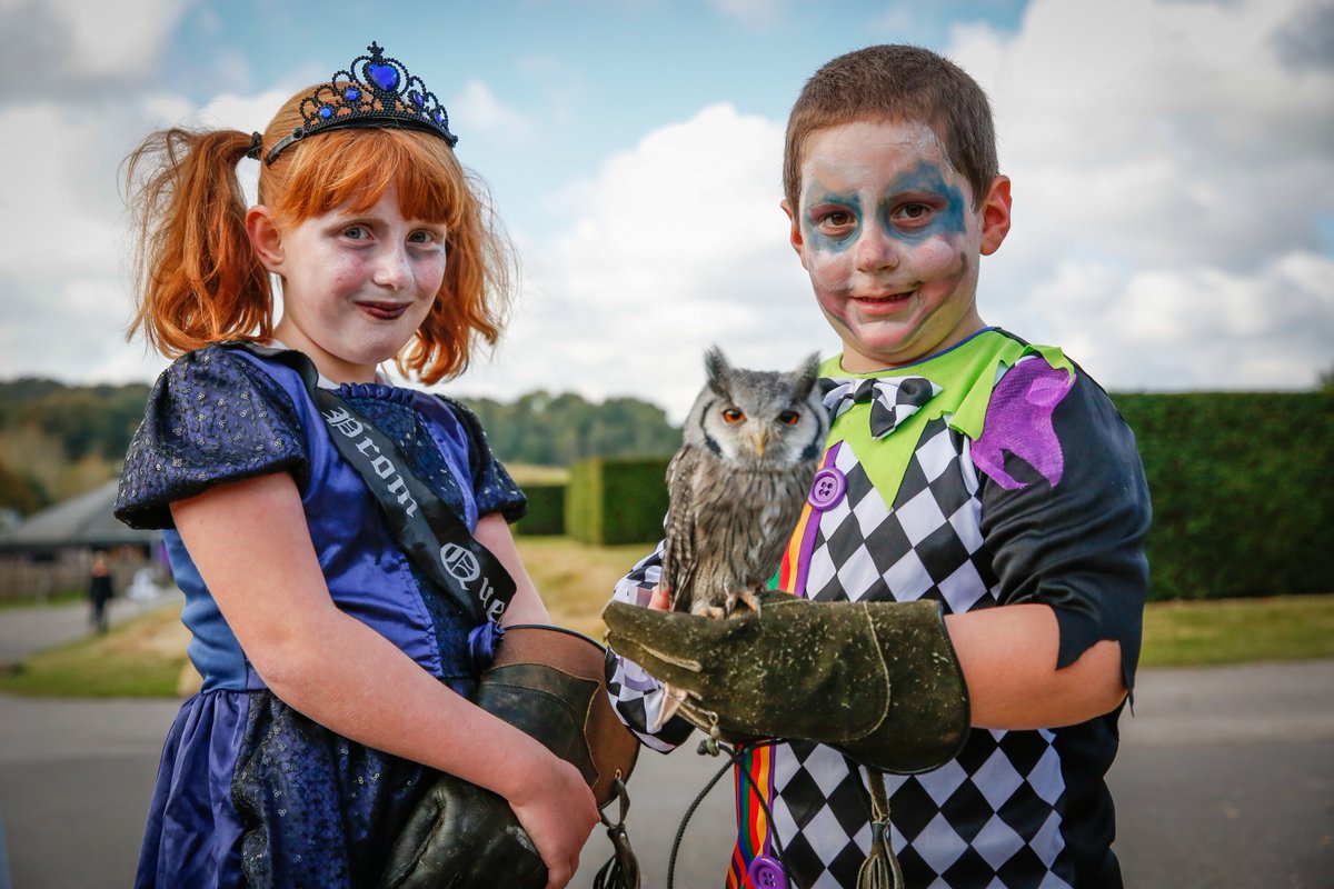 leedscastleuk's tweet photo. #HappyHalloween 🎃

Today's the last day to visit our #Halloween at the #Castle, and enter our competition to win an annual family ticket! 

All you need to do is wear your scariest costumes and tag us in your pictures at #LeedsCastle!

#visitkent #halterm #whatson #whatsonkent https://t.co/2RGM085mNE