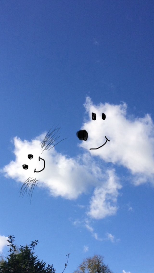 Tinap66Payne's tweet photo. Just in case you needed to see a Happy Cat and Dog Cloud
😊🤣🐾 https://t.co/2tm7lUgM4p