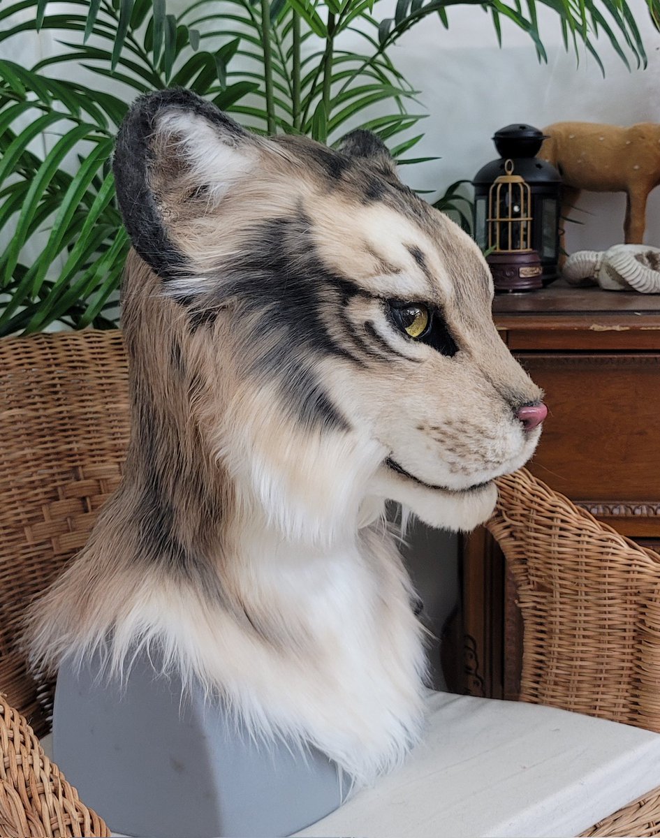 Aseol Fursuit ⋆⁺₊ tweet media