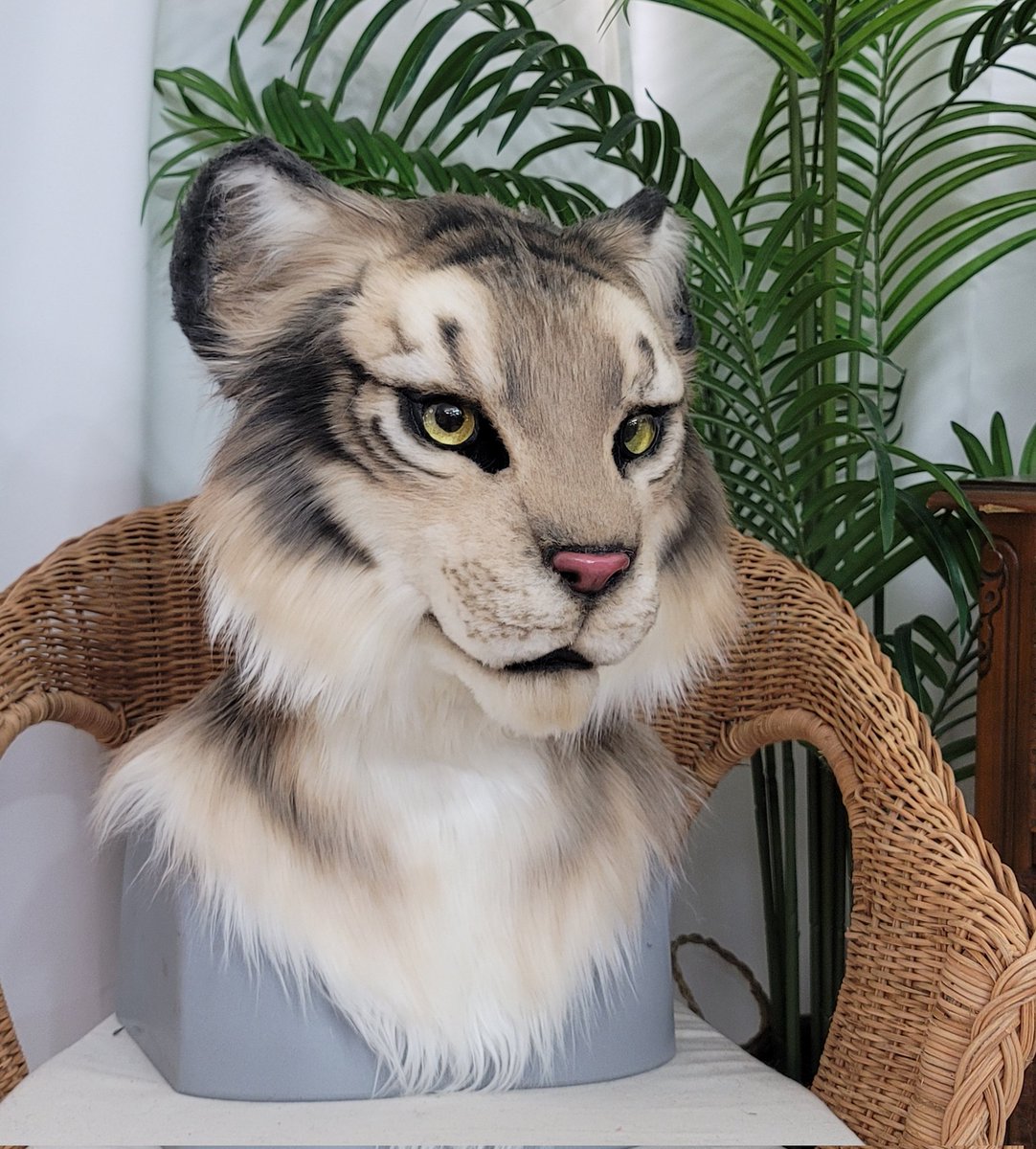 Aseol Fursuit ⋆⁺₊ tweet media