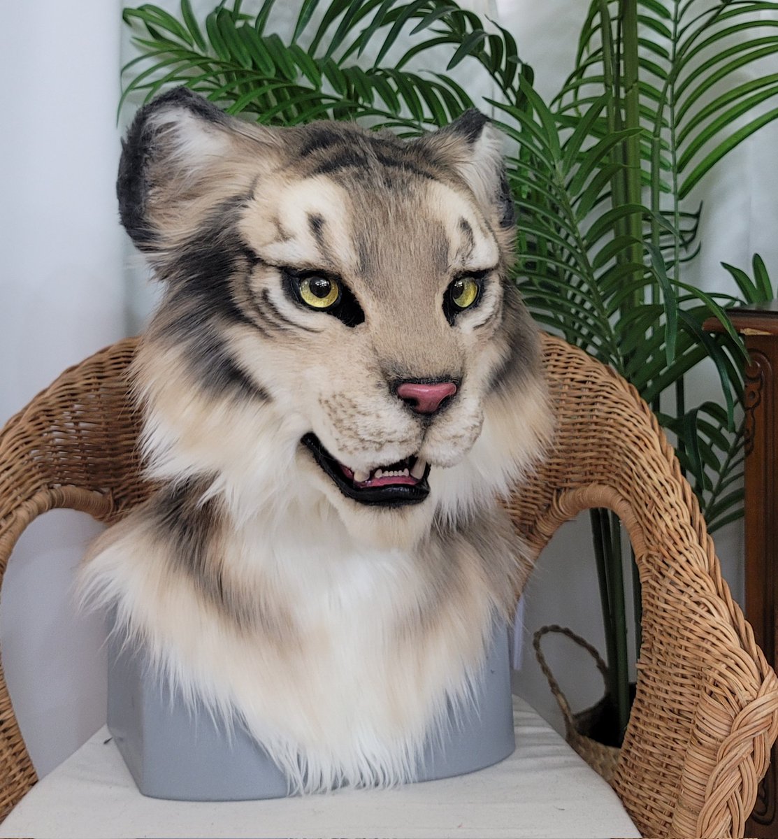 Aseol Fursuit ⋆⁺₊ tweet media