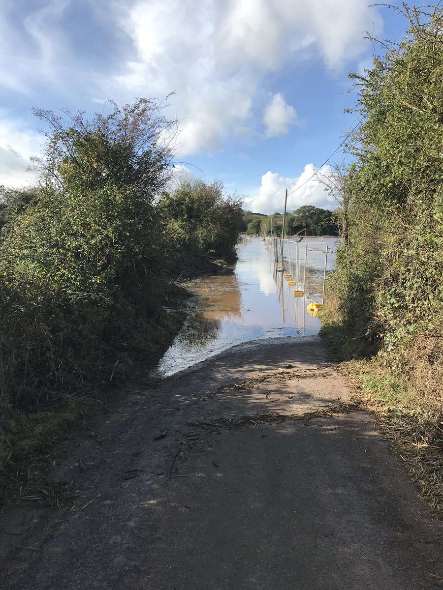 PeterRobinMason's tweet photo. Yesterday’s floods after the rain the day before. Honey would have gone for a swim but I thought it might be a little cold. I guess it will be worse this morning after last night’s deluge. https://t.co/R2pHINhh8J