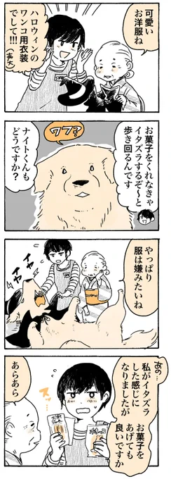 ペットショップにて🎃👻

#姫ばあちゃんとナイト
(単行本発売中!) 