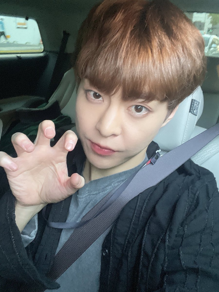 xoxiusoo's tweet photo. my lovely meow meow https://t.co/RSqSNQ7VwW