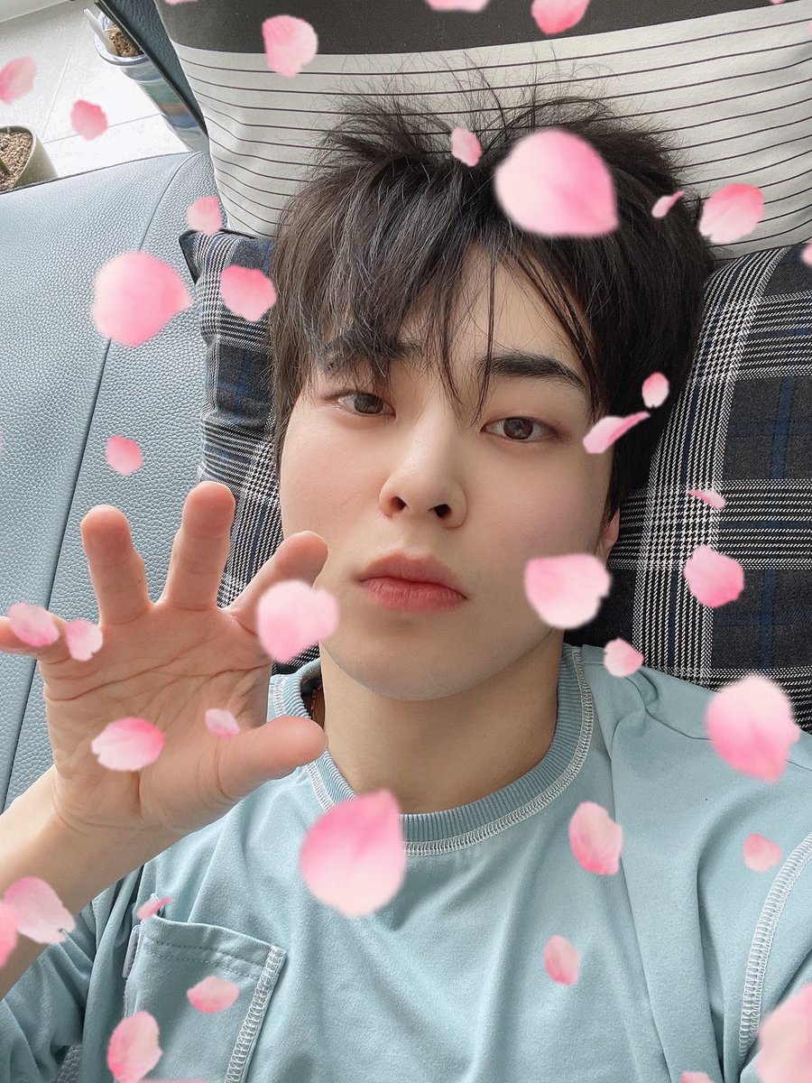 xoxiusoo's tweet photo. my lovely meow meow https://t.co/RSqSNQ7VwW