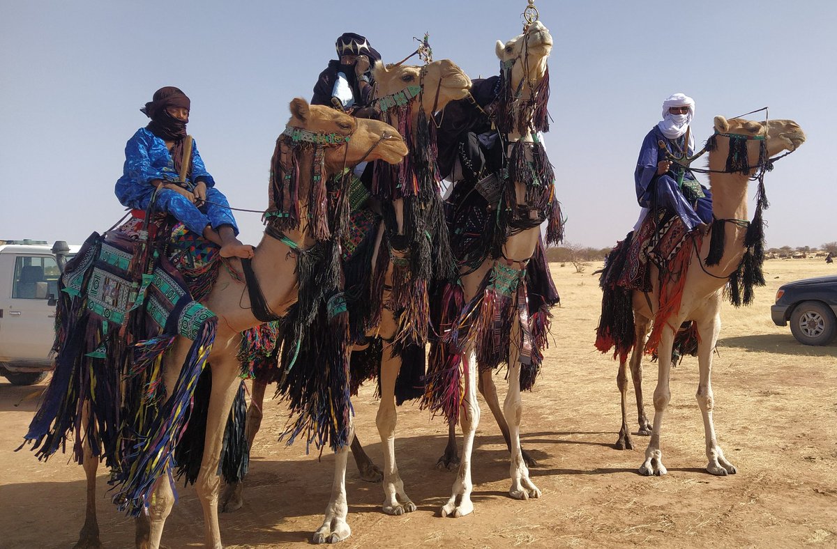 oumou_kane's tweet photo. Au delà des beaux clichés de concours de beauté, de fantasias, le #WorssoGuerewol c'est aussi le RDV annuel des campements et tribus nomades pour statuer sur leurs organisations; pour nouer alliances et mariages mais aussi sanctionner les contrevenants aux différents codes. https://t.co/SNFgUXhPgf
