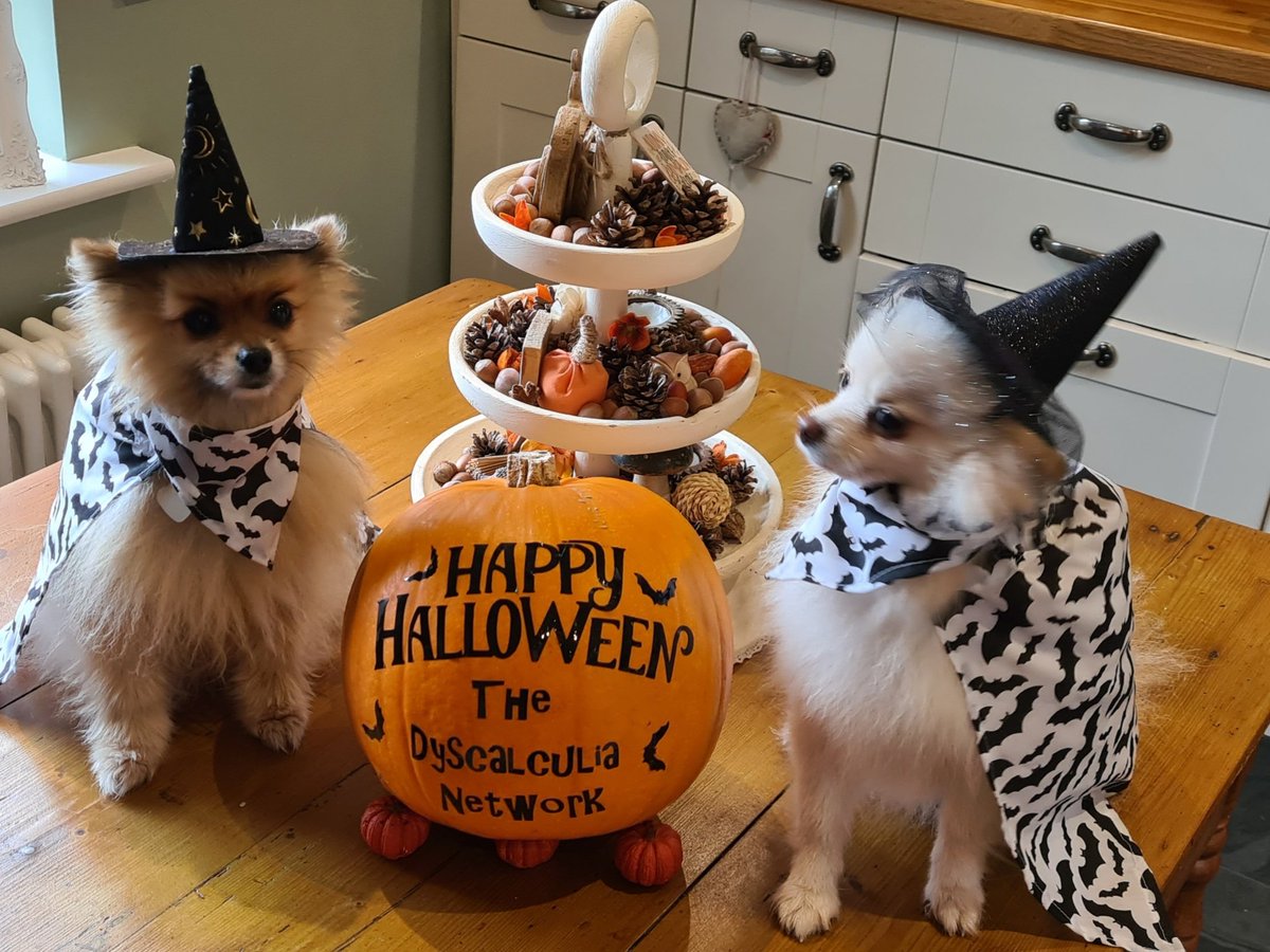 DyscalculiaNet1's tweet photo. Happy Halloween from us all!
#dyscalculia #dyscalculianetwork #dyscalculiaproblems #dyscalculiaawareness #dyscalculie #mathsdifficulties #maths #mathskills #mathsteacher #mathsvideos #mathstutor #mathsisfun #mathsmastery #mathsdifferentiation #send #sendteacher #Sen #toptips https://t.co/ClyoANbSjM