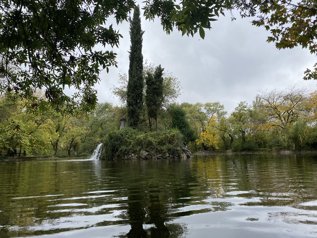 NeuroMKT's tweet photo. Relajaros es #Domingo. Otoño en #Madrid Parque del Capricho. https://t.co/VzA8ErX5mM