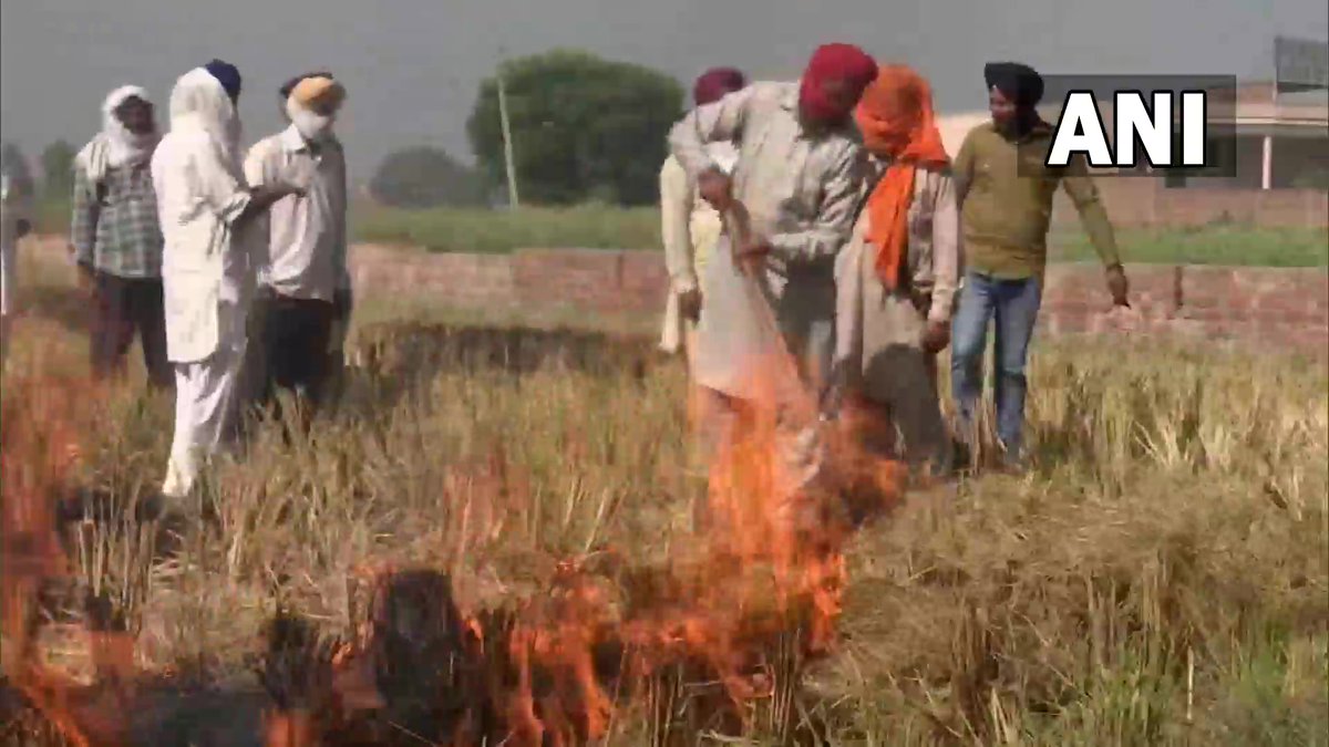 AHindinews's tweet photo. पंजाब: अमृतसर में किसानों ने अपने खेतों में पराली जलाई। https://t.co/9Wlf8tgNHu