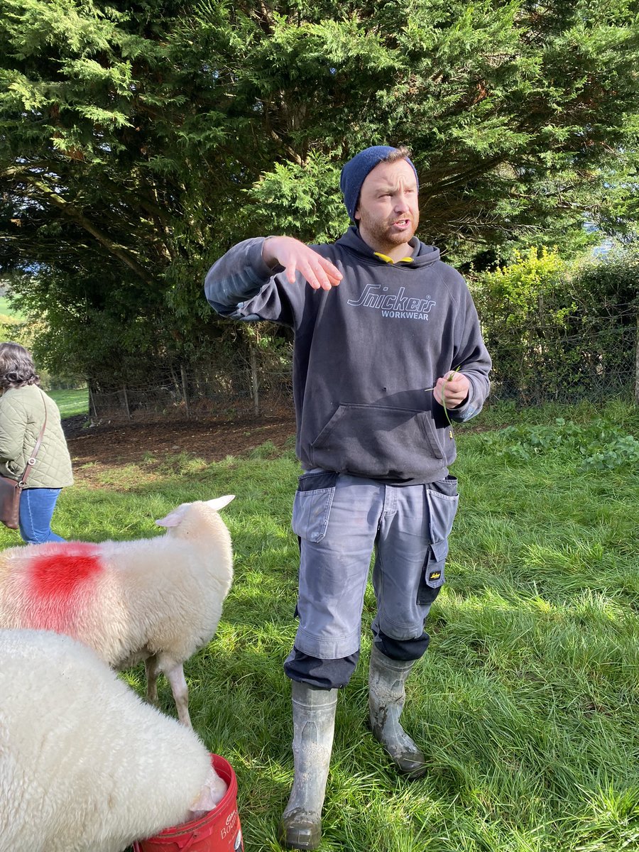 Kate_OHora's tweet photo. Wonderful trip yesterday around beautiful Wicklow with @WicklowNatural1 showcasing local food produce, visiting @DaisyCottageFrm @ballyhubbock @russborough #sconemix #iriahsheepmilkimaal #afternoonteaatrussborough #localfood @KennedySantina_ https://t.co/3vO5CEIgOz