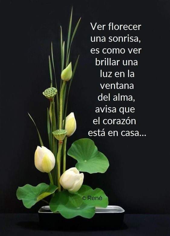 #FelizDomingo #SiguemeYTeSigo