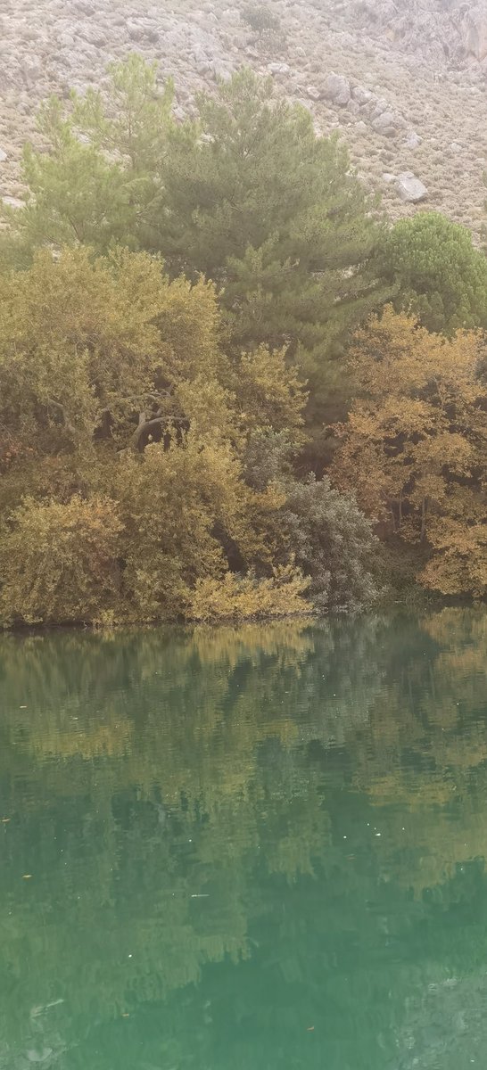 candia_rt's tweet photo. Λίμνη Ζαρού, στα γάργαρα νερά του Ν. Ηρακλείου #CandiaRT https://t.co/qHESVoeBKc