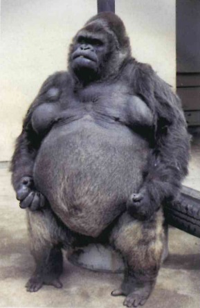 王子動物園のtwitterイラスト検索結果 古い順