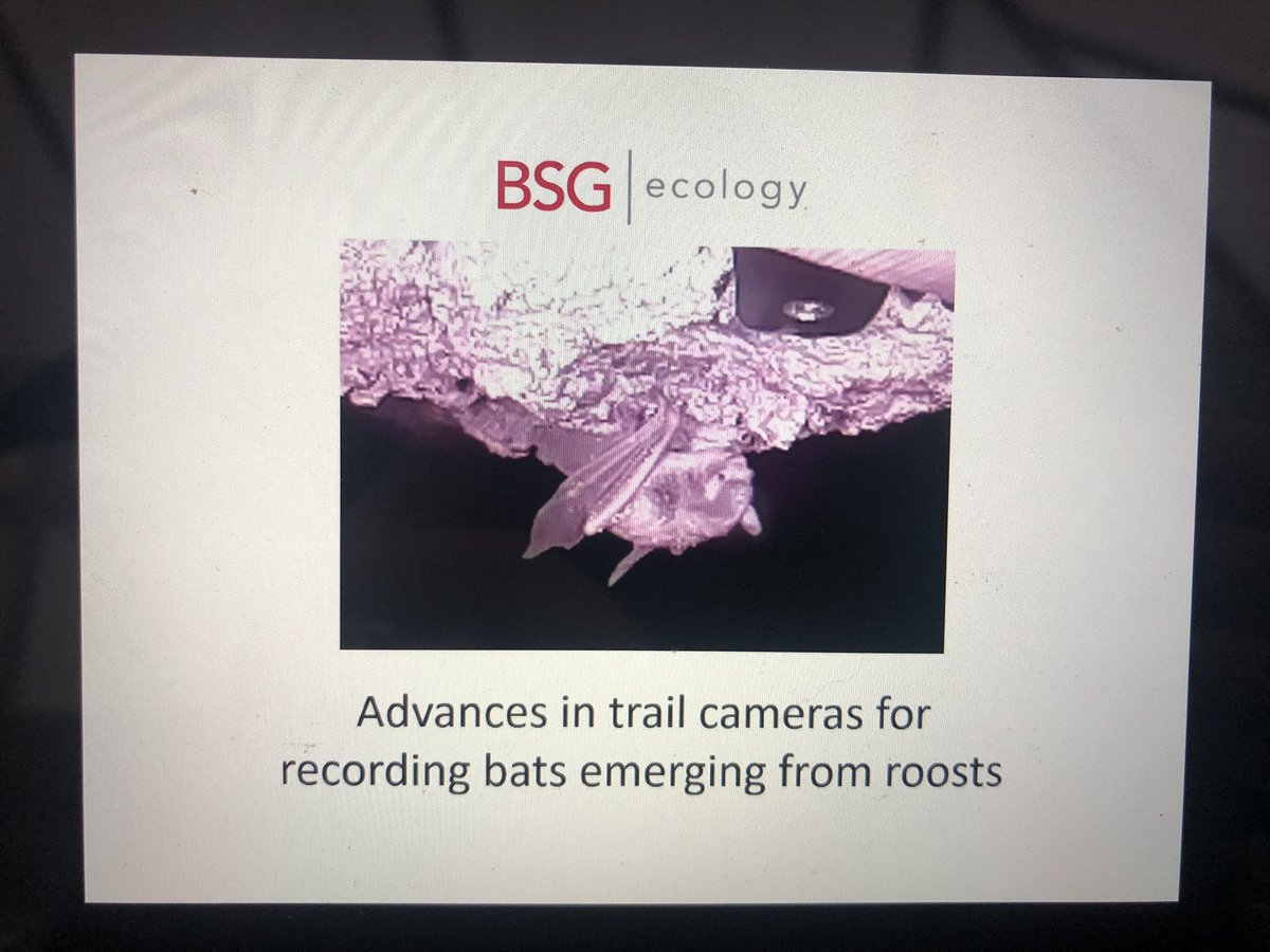 KitStoner's tweet photo. Gareth Lang from @BSGEcology talking about using trail cameras for capturing emerging bats, including building his own! #NatBatConf @_BCT_ https://t.co/8IJxwIgBsi