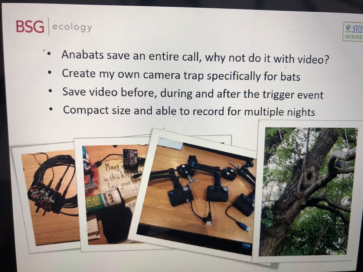 KitStoner's tweet photo. Gareth Lang from @BSGEcology talking about using trail cameras for capturing emerging bats, including building his own! #NatBatConf @_BCT_ https://t.co/8IJxwIgBsi