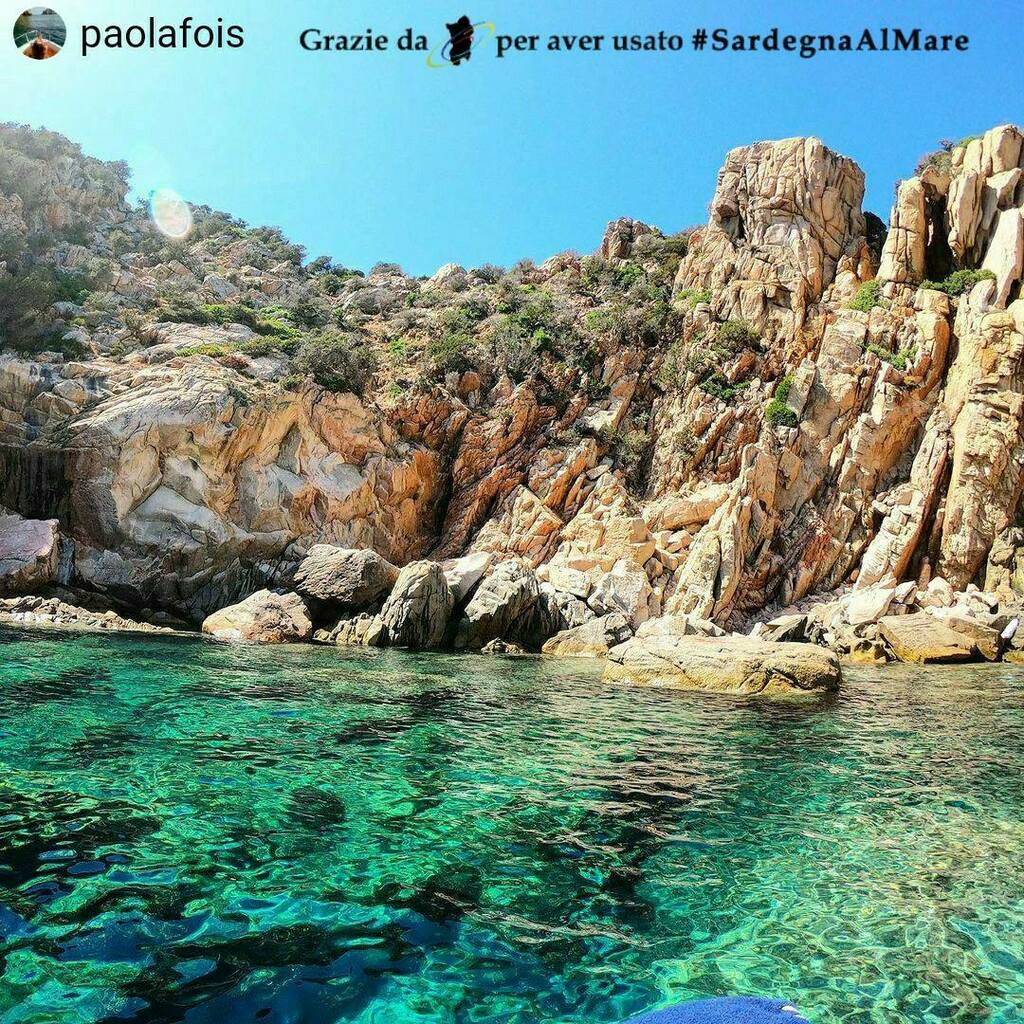 SardegnaAlMare's tweet photo. Caprera 🏝 🌊 ⛱️ # SardegnaAlMare #spiaggia #sardegna #sardinia #ichnusa #caprera #isoladicaprera #capreraisland #lamaddalena #isoladellamaddalena #arcipelagodellamaddalena #isoladilamaddalena #arcipagodilamaddalena #garibaldi #giuseppegaribaldi #igerlamaddalena #instalamaddal… https://t.co/xyQsYz5c6e