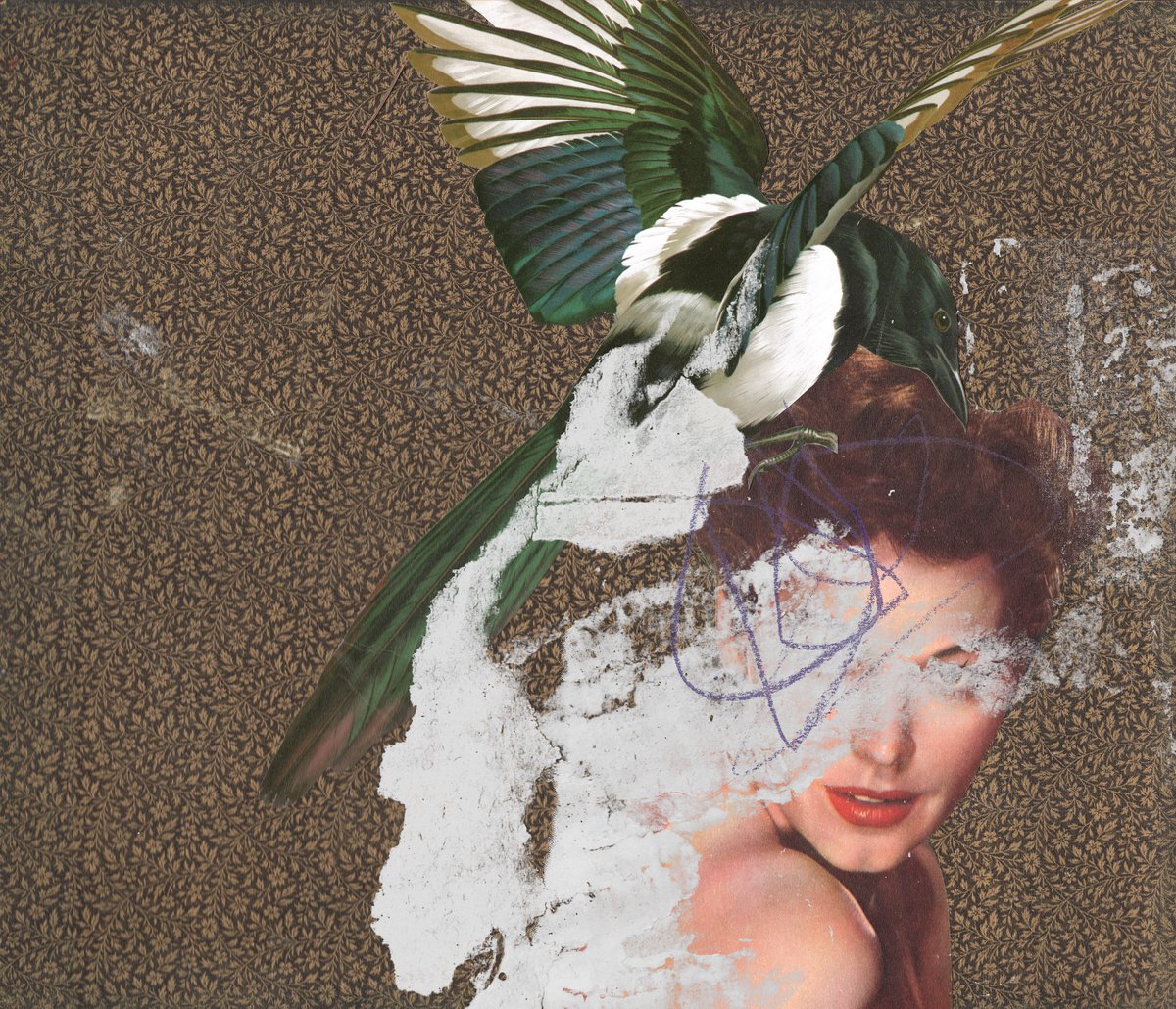 mich_tom's tweet image. One for Sorrow. 
#NFT #nftart