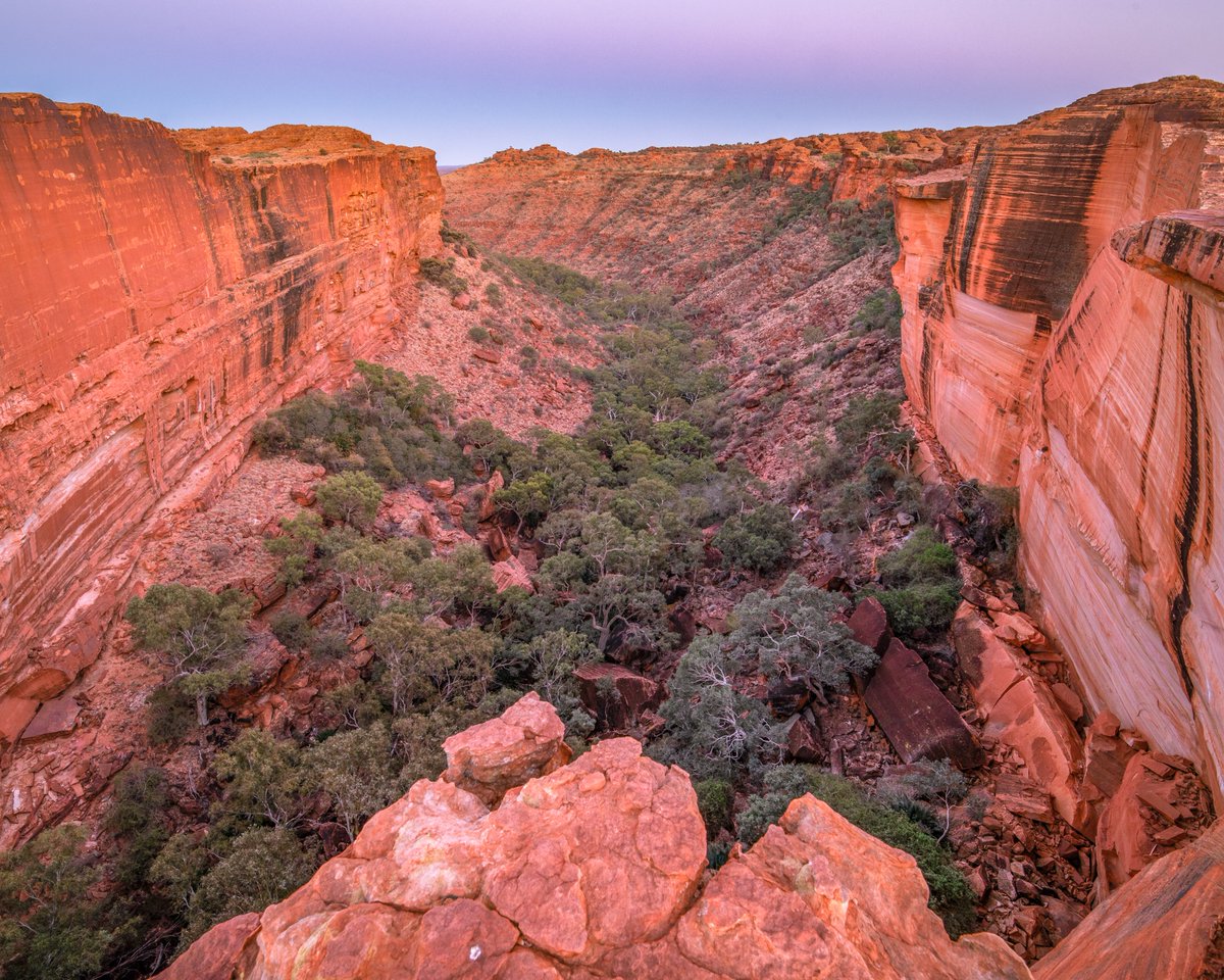 intrepid_p's tweet photo. What's up ? Still doing tax ๐คฎ; but here is a little sunrise at Kings Canyon in #OutbackNT for you. https://t.co/zAsjT5M9IR