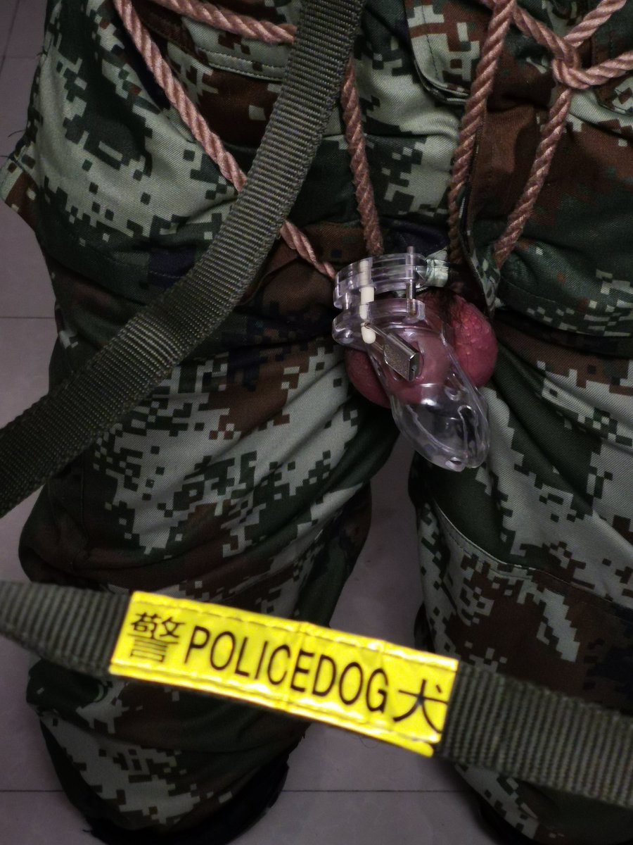 终将遗忘 tweet media