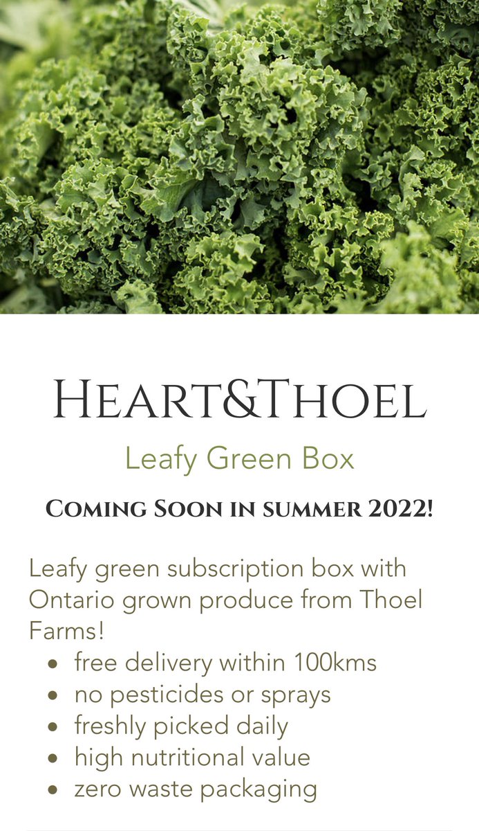 Our farm, Thoel Farms will have leafy green subscription boxes for summer 2022! Can’t wait to spread local leafy across Ontario! 🥬  #local #supportlocal #Farming #hydroponics #smallbusiness #smallbusinesssunday #ontariogrown #futurefarming