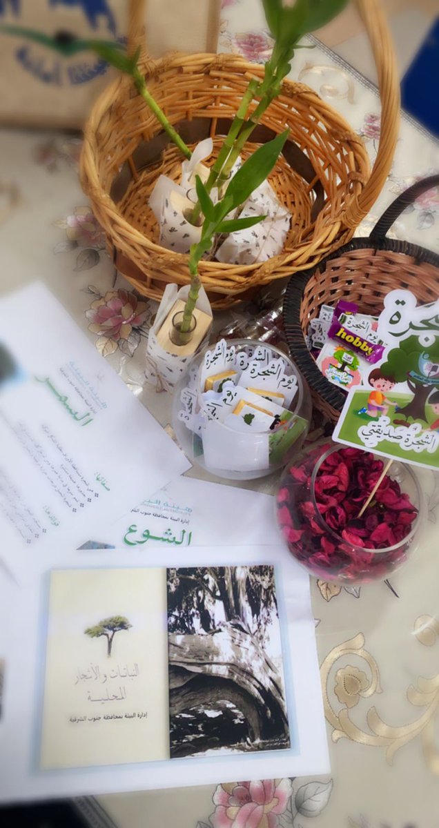 adm_beaht's tweet photo. 🍀شكراً لكل من يحمي رئة الأرض 🍀
بمناسبة يوم الشجرة 31 اكتوبر من كل عام 
تنفذ ادارة البيئة العديد من الفعاليات بالمناسبه وبالتعاون مع حديقة محمية السليل و مركز البيئة بولاية الكامل والوافي
حيث تم صرف 1000 شتله بالمناسبه بناءاً على طلب الجهات الحكوميه والخاصه. https://t.co/v4pvPKXVQZ