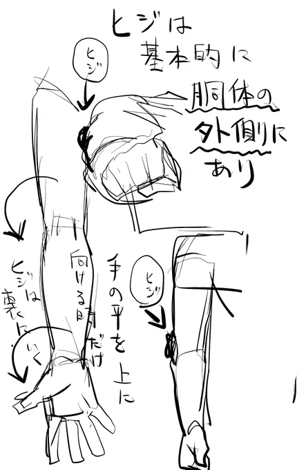 肘 