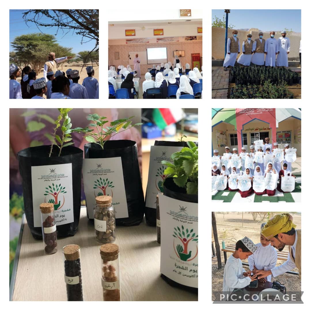 adm_beaht's tweet photo. 🍀شكراً لكل من يحمي رئة الأرض 🍀
بمناسبة يوم الشجرة 31 اكتوبر من كل عام 
تنفذ ادارة البيئة العديد من الفعاليات بالمناسبه وبالتعاون مع حديقة محمية السليل و مركز البيئة بولاية الكامل والوافي
حيث تم صرف 1000 شتله بالمناسبه بناءاً على طلب الجهات الحكوميه والخاصه. https://t.co/v4pvPKXVQZ