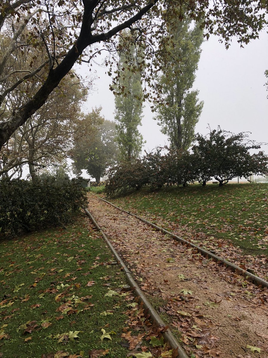 iGuillermo_'s tweet photo. 🍁🍂 https://t.co/omx22WXb0G
